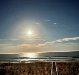 NEW LISTING! OCEANFRONT w/ pool, close to boardwalk, amazing views!