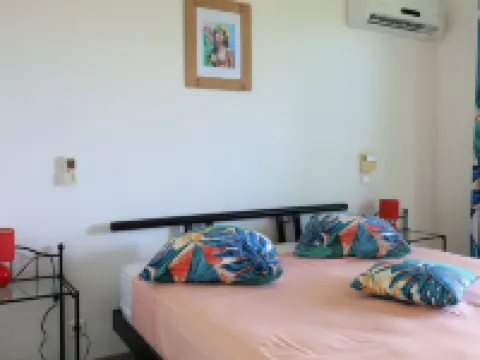 ファレアラナモーレアゲストハウス モーレア島のホテル