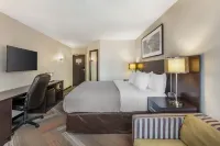 Quality Hotel Hotels in Burlington