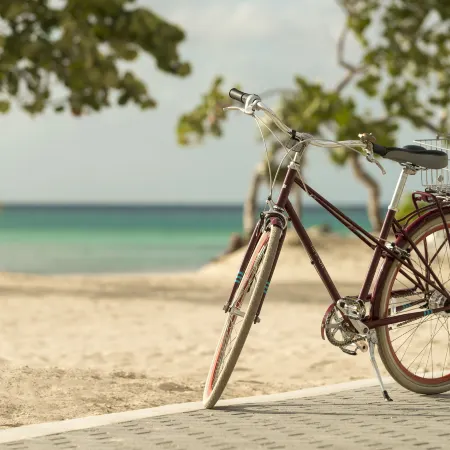 Kimpton HOTEL PALOMAR SOUTH BEACH by IHG