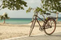 Kimpton HOTEL PALOMAR SOUTH BEACH by IHG - 비치