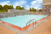 Holiday Inn NEW ORLEANS AIRPORT NORTH by IHG - piscina