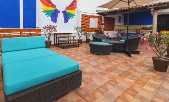 La Iguana Vallarta Lgbt Adults Only - Romantic Zone - Party Clubbing Street
