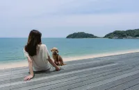Alfacio Resort Stay Itoshima - วิวทะเล