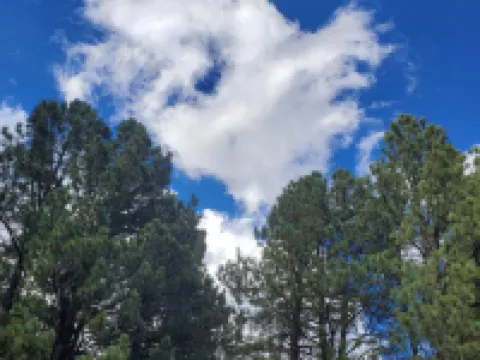 Tiny, Quiet, 2nd-Story, Private Condo with No TV Hotels in Angel Fire
