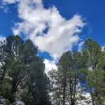 Tiny, Quiet, 2nd-Story, Private Condo with No TV Hotels in Angel Fire