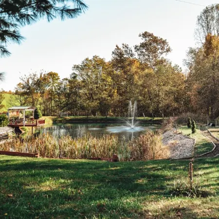 Cozy Getaway: Dogs Stay Free, Fenced Yard, Private Fishing Pond