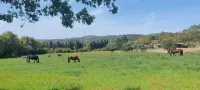 Agriturismo Tenuta il Solengo - 2-Star