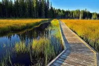 Howard Johnson by Wyndham Hinton