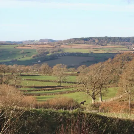 The Dairy at Wyke Farm