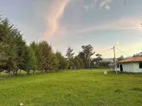 Mer's House Enjoys Nature