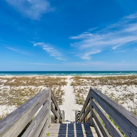 Sea Strapped