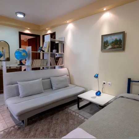 Zant House Trikala Town