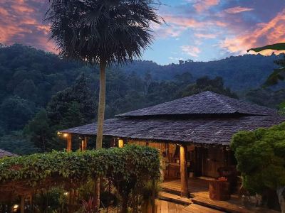 Fig Tree Hill Resort