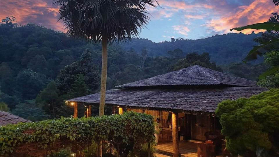 Fig Tree Hill Resort