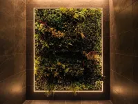 Hôtel l'Ours de Mutzig - spa