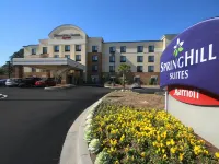 北查爾斯頓/阿什利法斯菲特萬豪SpringHill Suites 酒店 鄰近查爾斯頓國際機場的酒店
