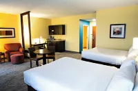 Holiday Inn Express & Suites HARRISBURG W - MECHANICSBURG by IHG - Pet friendly