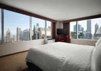 Hampton Inn Chicago Downtown/Magnificent Mile - Pemandangan Pantai