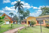 Hotel Las Palmeras - Pool