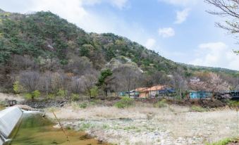 Goesan Songnisan Tongnamu Pension