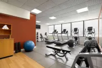 格林維爾希爾頓酒店 - Wi-Fi