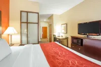 Comfort Suites Golden Isles Gateway Hotels in Country Club Estates