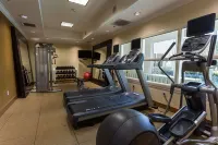 Hilton Garden Inn San Mateo - Træningscentre