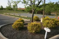 Affordable Suites of America Fredericksburg Hotels in Hartwood