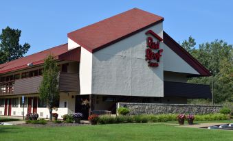 Red Roof Inn Buffalo - Niagara Airport