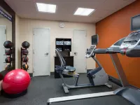 Hampton Inn Manhattan Chelsea Hotels near Bleecker Playground
