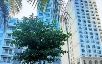 Putin Nha Trang Hotel Hotels in Vinh Hai
