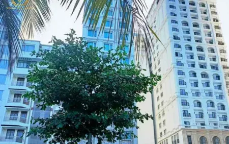 Putin Nha Trang Hotel