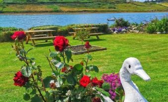 a large white duck statue with a white flower pot in front of it , sitting on a grassy field near a body of water at Ocean Villa
