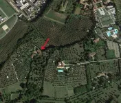 일 모나스테라초