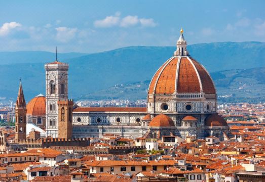 플러스 플로렌스