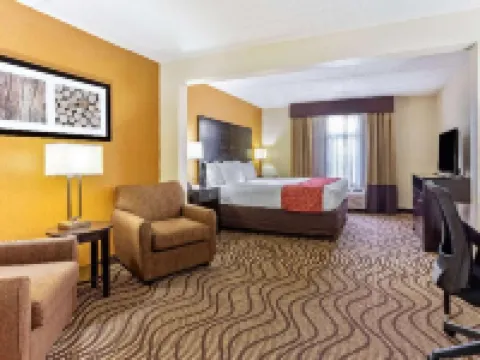 Comfort Inn & Suites Tampa North I-75 Hotels in Tampa