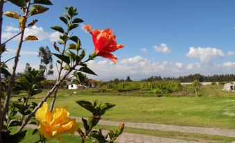 Posada Mirolindo