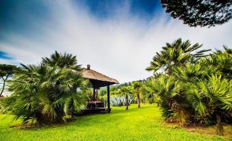 a lush green lawn with palm trees and a gazebo in the background , creating a serene and peaceful atmosphere at Casa Matilde