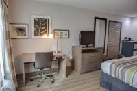 Country Inn & Suites by Radisson, Harlingen, TX فنادق في هارلينغن