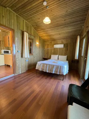 Tree Houses Hotel Hôtels à : Uzunyurt Mahallesi