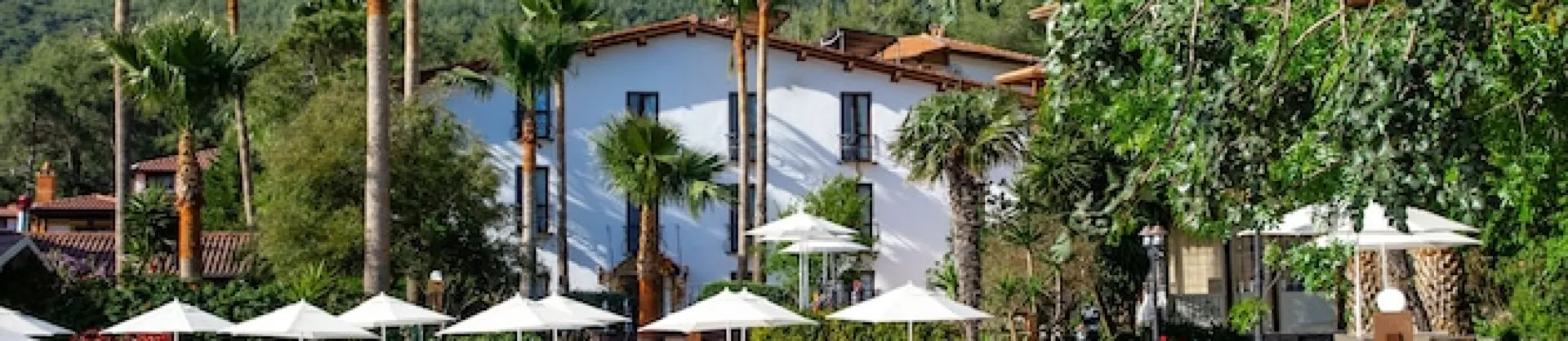 Gehobene Hotels 