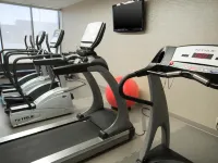 Drury Inn & Suites Springfield MO - gimnasio