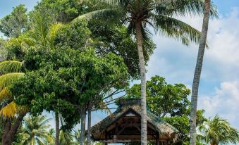 a tropical island with a small wooden hut surrounded by palm trees and lush greenery at Sea Horizon Resort