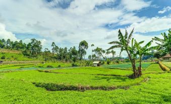 OYO Homes 90991 Eco Tourism Desa Panundaan Ciwidey 2 Syariah