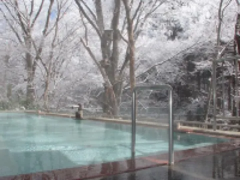 Tsuruya Ryokan فنادق في أويدا