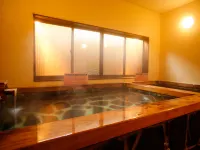 Hida Tomoe Hotel Hotels in Hida