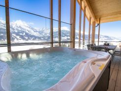 Superior 3 SZ Sauna & Aussenbadewanne