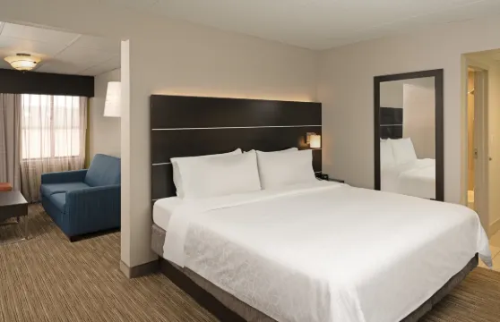 Holiday Inn Express 羅切斯特 - 希臘