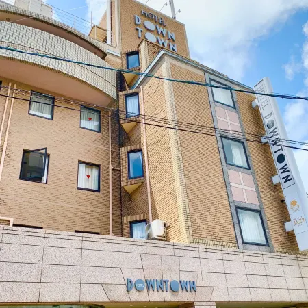 Downtown Hotel